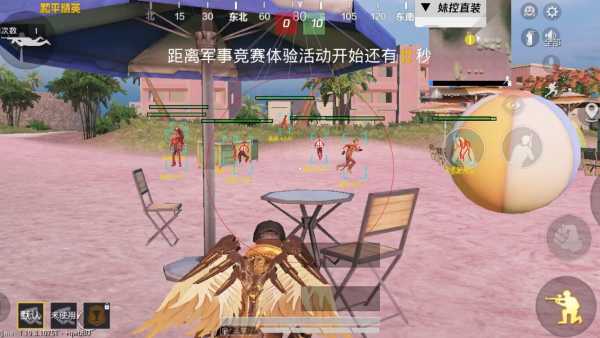 和平精英辅助【保时捷】
